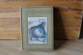 Vintage Book " Nest And Eggs " By A.  H.  Blaikie