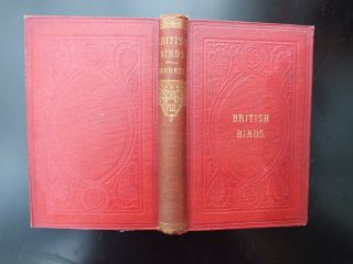 A History Of British Birds - Vol 8,  C 1850 With 44 Coloured Engravings