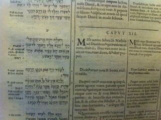 Hebrew 1599 Polyglot Bible Greek Latin 2 Samuel David & Bathsheba
