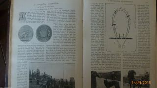 Sheep Dog Competition Trials Rare Old Victorian Antique 1898 Illustrated Article