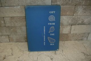Gift From The Sea Book By Anne Morrow Lindbergh With Slip Case Illustrated 1955
