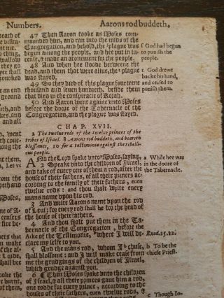 1598 Geneva Breeches Bible Leaf/page Gothic Font Korah Rebel,  Aaron 