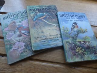 Old Book Ladybird British Birds Nature Books Three - 1954 Second/third