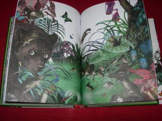 INTO THE JUNGLE - THE JUNGLE BOOK - STORIES FOR MOWGLI - LOVELY ILLUSTRATED BOOK 3